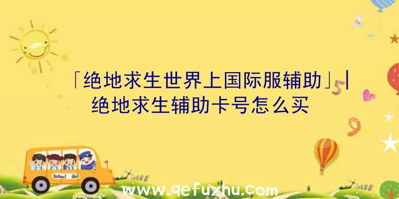 「绝地求生世界上国际服辅助」|绝地求生辅助卡号怎么买